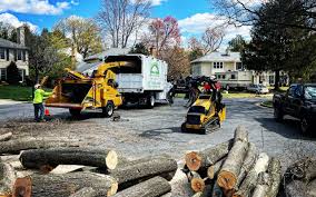 Best Lawn Pest Prevention  in Spring Valley Village, TX